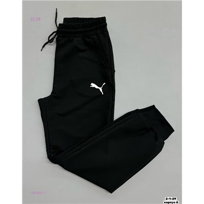 Штаны 1982902-1