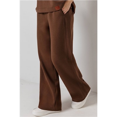 Брюки женские  196Т/03/Коричневый