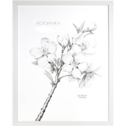 Фоторамка 21х30 с акриловым стеклом / ZR208B-19 /уп10