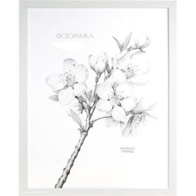 Фоторамка 21х30 с акриловым стеклом / ZR208B-19 /уп10