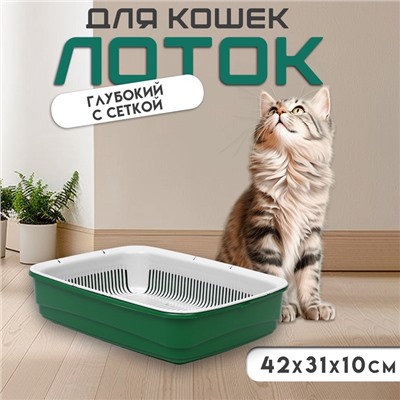 Лоток большой с сеткой Atlantis «Стандарт», 42×31×10 см, зеленый