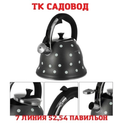 Чайник #22885262