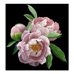 Холст с красками 40х50 см по номерам "Нежные пионы" (30цв.)