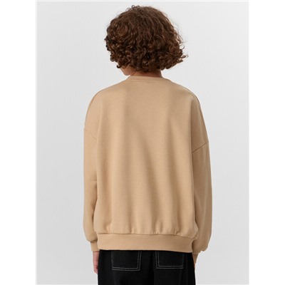 СВИТШОТ ДЛЯ МАЛЬЧИКОВ 123466