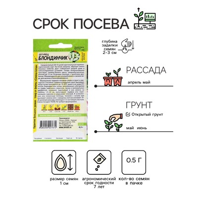 Семена Огурец "Блондинчик", среднеспелый, цп, 0,5 г