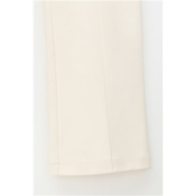 VERY NEAT Брюки ЕВТ 4071