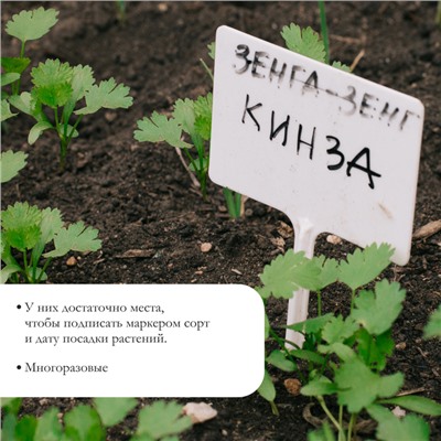 Таблички садовые, для маркировки растений, 15 см, набор 10 шт., маркер, пластик, белые, Greengo