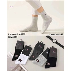 Носки мужские 10 пар 2055227-1