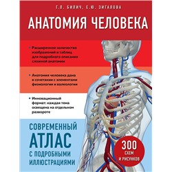 Эксмо Г. Л. Билич, Е. Ю. Зигалова "Анатомия человека. Современный атлас с подробными иллюстрациями"