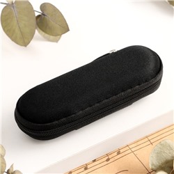 Губная гармошка Music Life T008L C диатоническая, 10 отверстий, с футляром