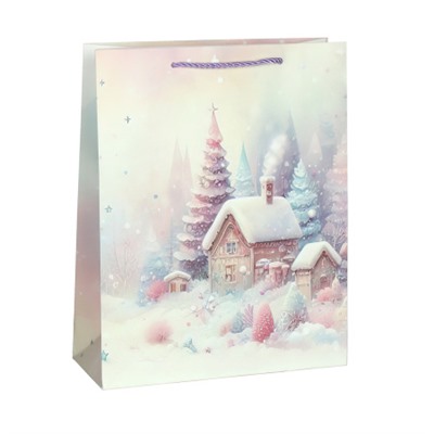 Пакет подарочный 18х24х8,5 / 6062-S /уп 12/720/Новый год