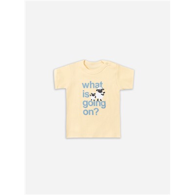 ДЖЕМПЕР ДЕТСКИЙ (2ШТ.) 83108-2