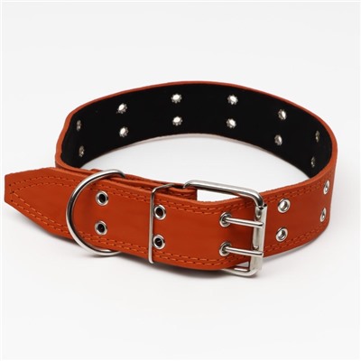 Ошейник кожаный на синтепоне, безразмерный, 83×4.5 см, ОШ 20-71 см, оранжевый