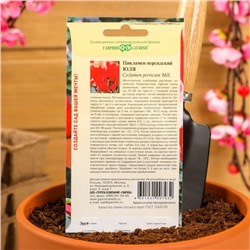 Семена цветов цикламен «Юля», 3 шт.