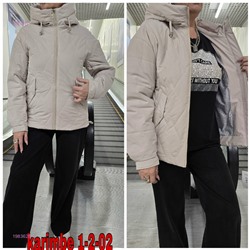 Куртка осень 1983628-3