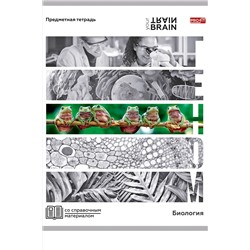 Тетрадь КЛЕТКА 48л. БИОЛОГИЯ «КОНТРАСТЫ» (Т48-1405) эконом-вариант, б/о НАТАЛИ, 1033260