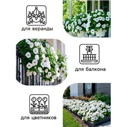 Семена  Петуния "Мамбо" F1 белая многоцветковая, 7 шт