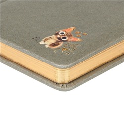 Ежедневник недатированный А6+ 240 стр. "Любовь.Милый котик.Моранди" 3-745/20 Bruno Visconti