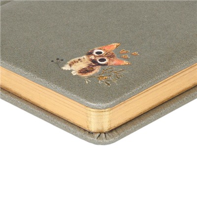 Ежедневник недатированный А6+ 240 стр. "Любовь.Милый котик.Моранди" 3-745/20 Bruno Visconti