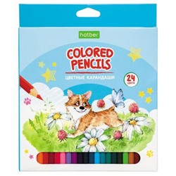 Карандаши 24цв ECO "Pets story" к/уп (066256) Хатбер