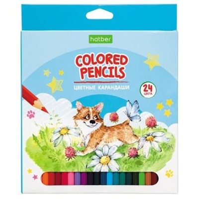 Карандаши 24цв ECO "Pets story" к/уп (066256) Хатбер