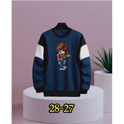 Толстовки 1733470-2