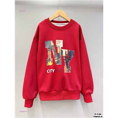Худи, 2058978-2