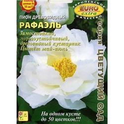 Пион Рафаэль древовидный Мн. (Аэлита)