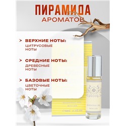 Духи масляные мужские One Secret, 6 мл