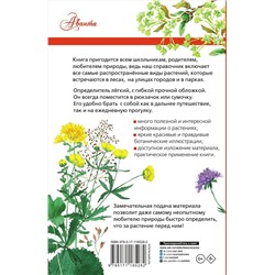 АСТ Дмитриева Т.Н., Пескова И.М., Куксина Н.В. "Растения России"