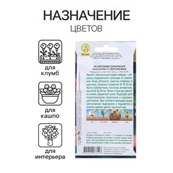 Семена цветов Пеларгония "Рафаэлла", персиковая, F1, 5 шт