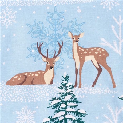 Постельное бельё дуэт «Этель. Зимнее волшебство», бязь