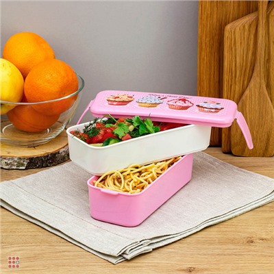 Ланч-бокс 2 секции (0, 5л+0, 5л), 19х8х9, 5см, с декором, пластик