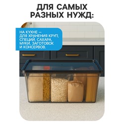 Ящик пластиковый для хранения, с крышкой, объём — 16 л, прозрачно-чёрный