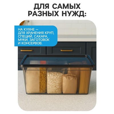 Ящик пластиковый для хранения, с крышкой, объём — 16 л, прозрачно-чёрный