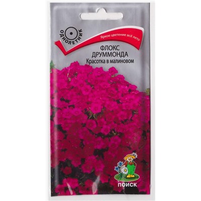 Флокс Красотка в малиновом (Код: 65741)