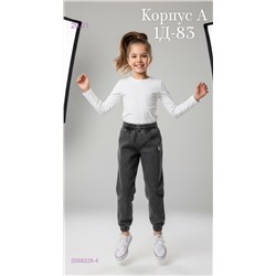 штаны 2058329-4