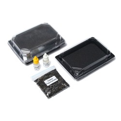 Набор для выращивания микрозелени Vegebox, 5 лотков, подсолнечник