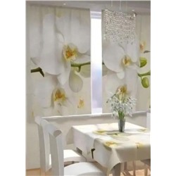 Фотошторы для кухни #23062462