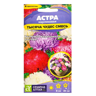 Семена цветов Астра «Тысяча чудес», карликовая, смесь, 0.15 г, «Семена Алтая»