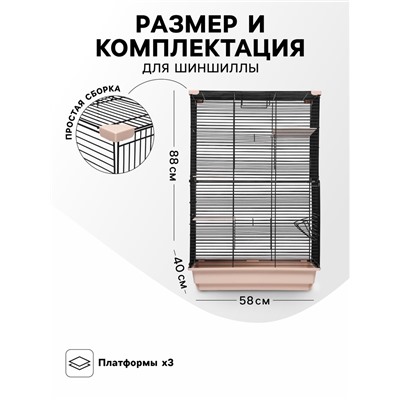 Клетка для шиншиллы «Пижон» №10, разборная, 58×40×88, бежевая