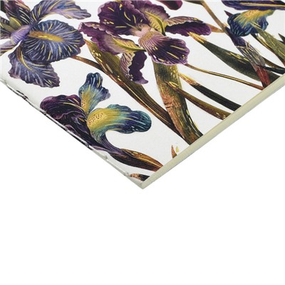 Записная книжка А6  30л клетка "ИРИСЫ" 7-30-001/25 Bruno Visconti