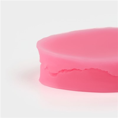 Молд кондитерский «Лист тропических растений», силикон, 2 шт., 6.5×4×2.3 см, МИКС