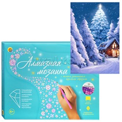 Алмазная мозаика 17х22 "Зимняя ночь" c подр., с полн. заполн. (21цв) (класс.)