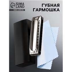 Губная гармошка Music Life T002 C диатоническая, 10 отверстий, с футляром