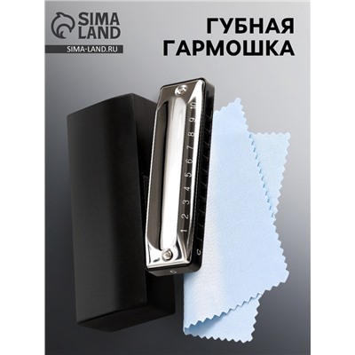 Губная гармошка Music Life T002 C диатоническая, 10 отверстий, с футляром