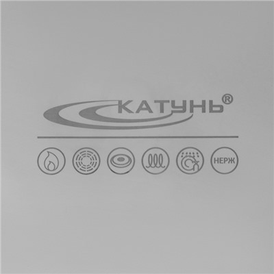 Котёл Катунь «Общепит», 20 л, d=35 см, h=24 см, капсульное дно, индукция, нержавеющая сталь
