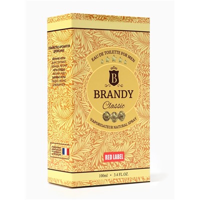 Туалетная вода мужская Brandy Classic, 100 мл