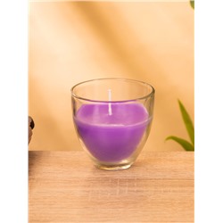 Свеча ароматическая в стакане SCENTED CANDLE, 100 г, лавандовые поля