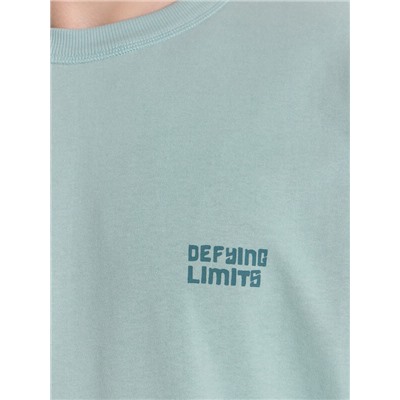 ФУТБОЛКА МУЖСКАЯ 111875